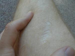 post-10380-1186495872_thumb.jpg