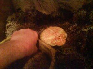 post-3565-1186212560_thumb.jpg