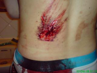 post-10277-1223404646_thumb.jpg