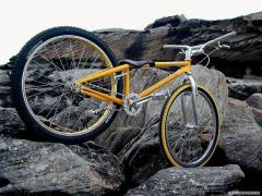 yello bike funny mount