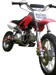 Copy of pit bike 110cc 0067868768 (Medium).JPG