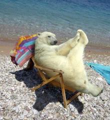 polarbear happy.jpg