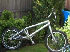 my megamo