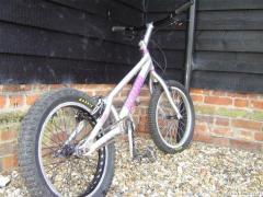 my purple bike