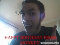 More information about "Monkey Birthday"