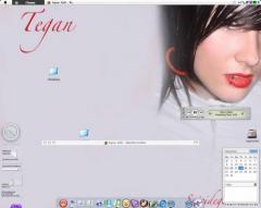 my desktop. a tribute to mac.