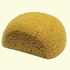 sponge