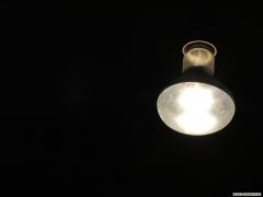 lightbulb.JPG
