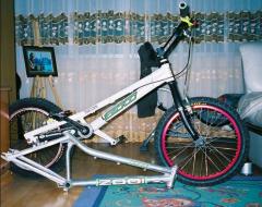 zhi bike (12).jpg