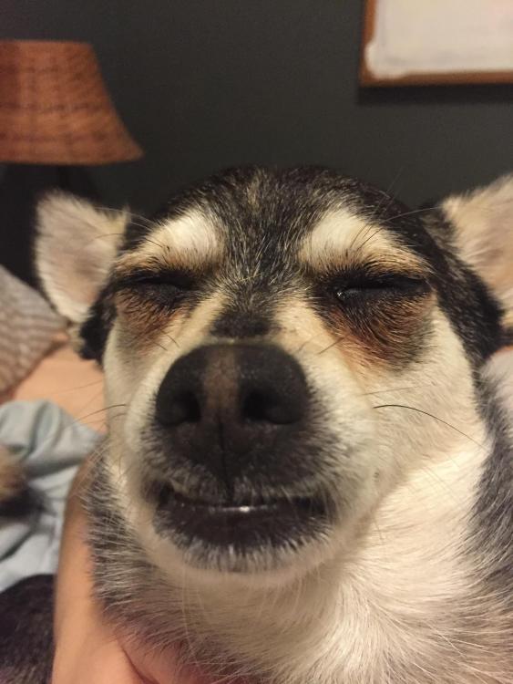 image.jpeg