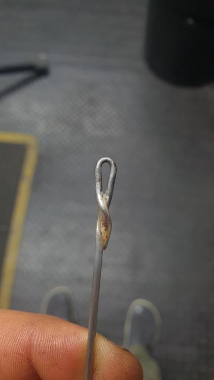 20211112_164455.thumb.jpg.a16ddab6ee78f42d1bbcb6fb59803aa6.jpg